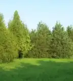 Hármashegyaljai Tanösvény, Debrecen