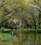 Wenckheim-kastélypark, Doboz