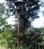 Viharharang, Domaszék