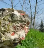 Gólyavár, Dombóvár