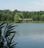 Domonyvölgyi horgásztó, Domony