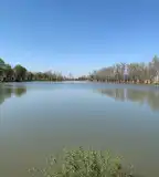 Préri Horgásztó, Dömsöd