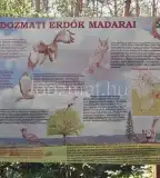 Erdőismereti tanösvény, Dozmat