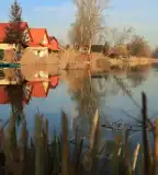 Dunakeszi tözegtó, Dunakeszi