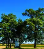 Fehér-kép, Dunakiliti