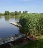 Szelidi-tó, Dunapataj