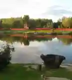 Dodó Vadfarm és Horgásztó, Dunaremete