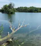 Morotva-tavi tanösvény, Dunaszeg