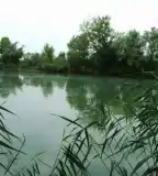 Dunaszentpáli kavicsbányató, Dunaszentpál