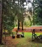 Baracsi úti Arborétum, Dunaújváros