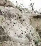 Gyurgyalag telep, Dunaújváros