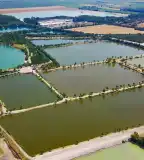 Moby Dick Horgásztó, Dunavarsány