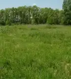 Orchidea tanösvény, Ebergőc