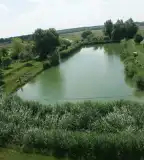 Ecseri horgásztó, Ecser