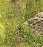 Borsodi Földvár, Edelény