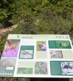 Nagy-Eged hegyi Tanösvény, Eger