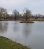 Király-tó, Eperjes