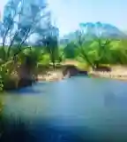 Bottyán-tó, Esztergom