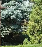 Szoborpark, Fábiánsebestyén