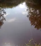 Farmosi II. sz. víztározó, Farmos