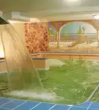 Fehérgyarmati Gyógyfürdő, Fehérgyarmat