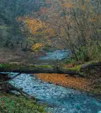 Pinka szurdok, Felsőcsatár