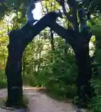 Fénykapu, Pilisszentkereszt