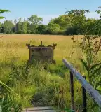 Békakonty tanösvény, Fertőhomok