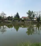 Földeáki horgásztó, Földeák