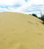 Fülöpházi buckavidék, Fülöpháza