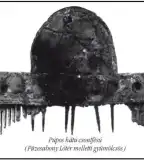 Helytörténeti Gyűjtemény, Füzesabony