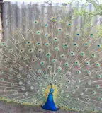 Füzesgyarmati Állatpark és Vadfarm, Füzesgyarmat