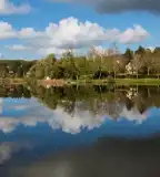 Galamboki halastó, Galambok