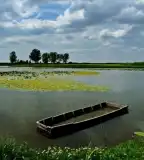 Kobolya-tó, Géderlak