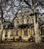 Tisza-kastély, Geszt