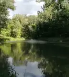 Szakáts-kerti horgásztó, Göd