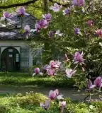 Szent István Egyetem Botanikus Kert, Gödöllő