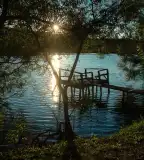 Felsőfarkasdi horgásztó, Gomba