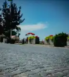 Macskaköves út, Gönyű