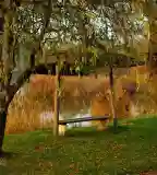 Peremvárosi Horgásztó és Pihenőpark, Gyál