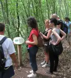 Dolomit tanösvény, Gyenesdiás