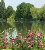 Bónom-zug, Gyomaendrőd