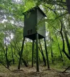 Denevérodú, Gyomaendrőd