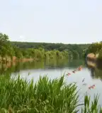 Félhalmi-holtág (Biristyók), Gyomaendrőd