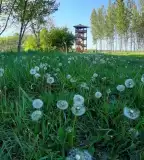 Fricke György kilátó, Győrsövényház