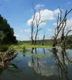 Holt-Szamos, Győrtelek