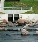 Győrzámolyi hallépcsó, Győrzámoly