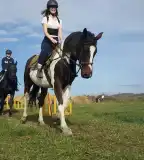 Gyula Vezér Lovasbirodalma, Gyulakeszi