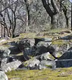 Papsapka-kövek, Gyulakeszi