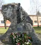 Petőfi fája, Hajdúsámson